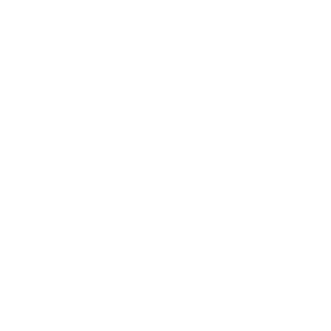 Fullsteam